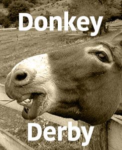 donkey-derby