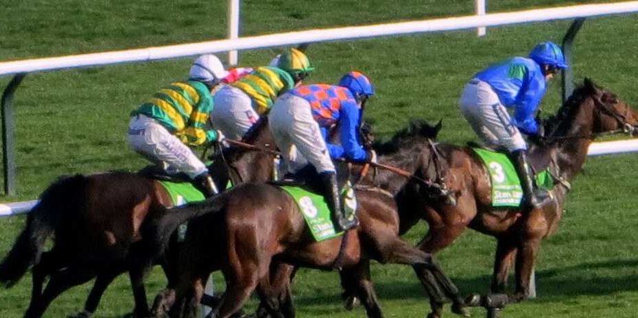 Stayers Hurdle